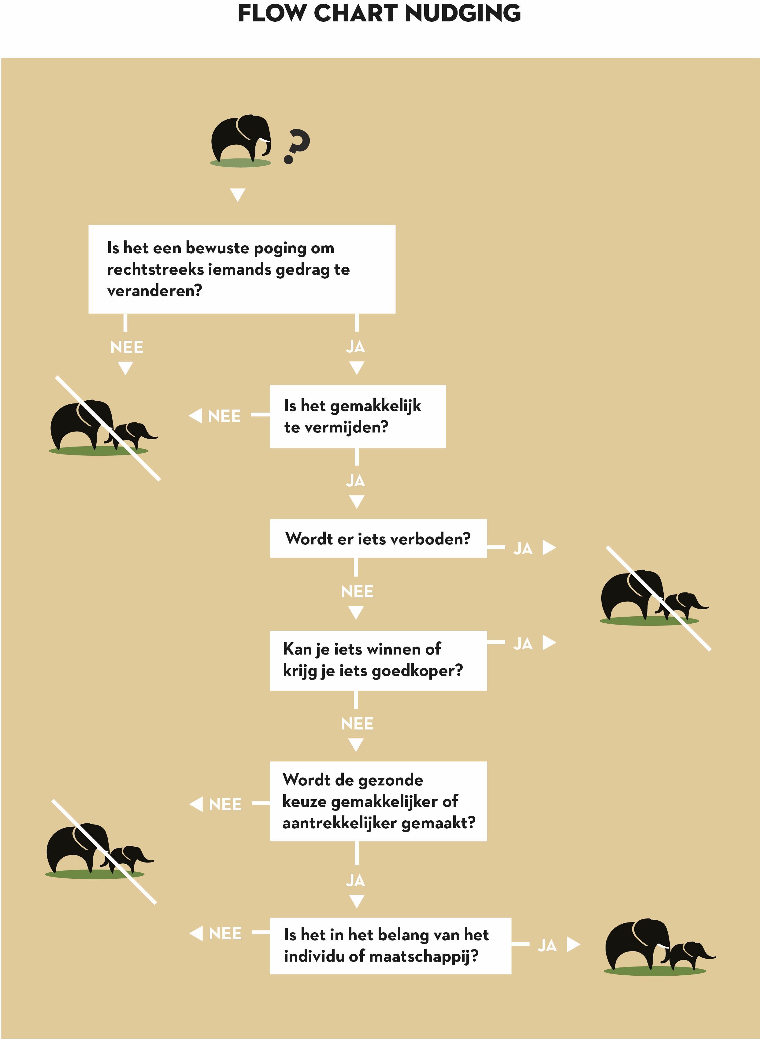 Flow chart nudging