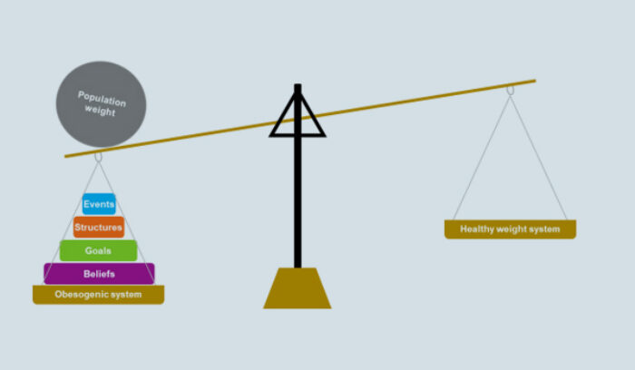 Systeemverandering whole system