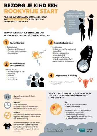 Infographic Meeroken en zwangerschap afbeelding