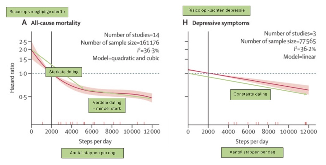 Curves 10000st 2025