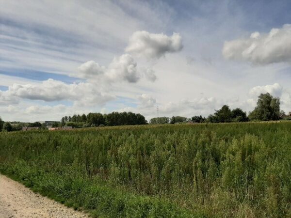 Pachtvrije Gronden Leuven