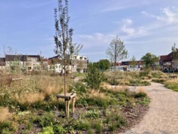 Moermanpark c departementomgeving