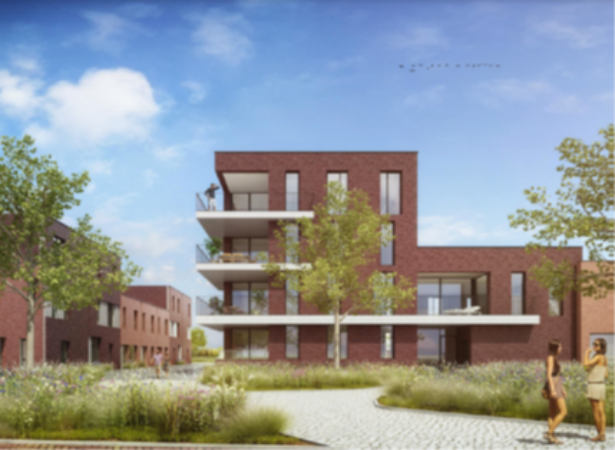 Wwonontwikkeling niefhout