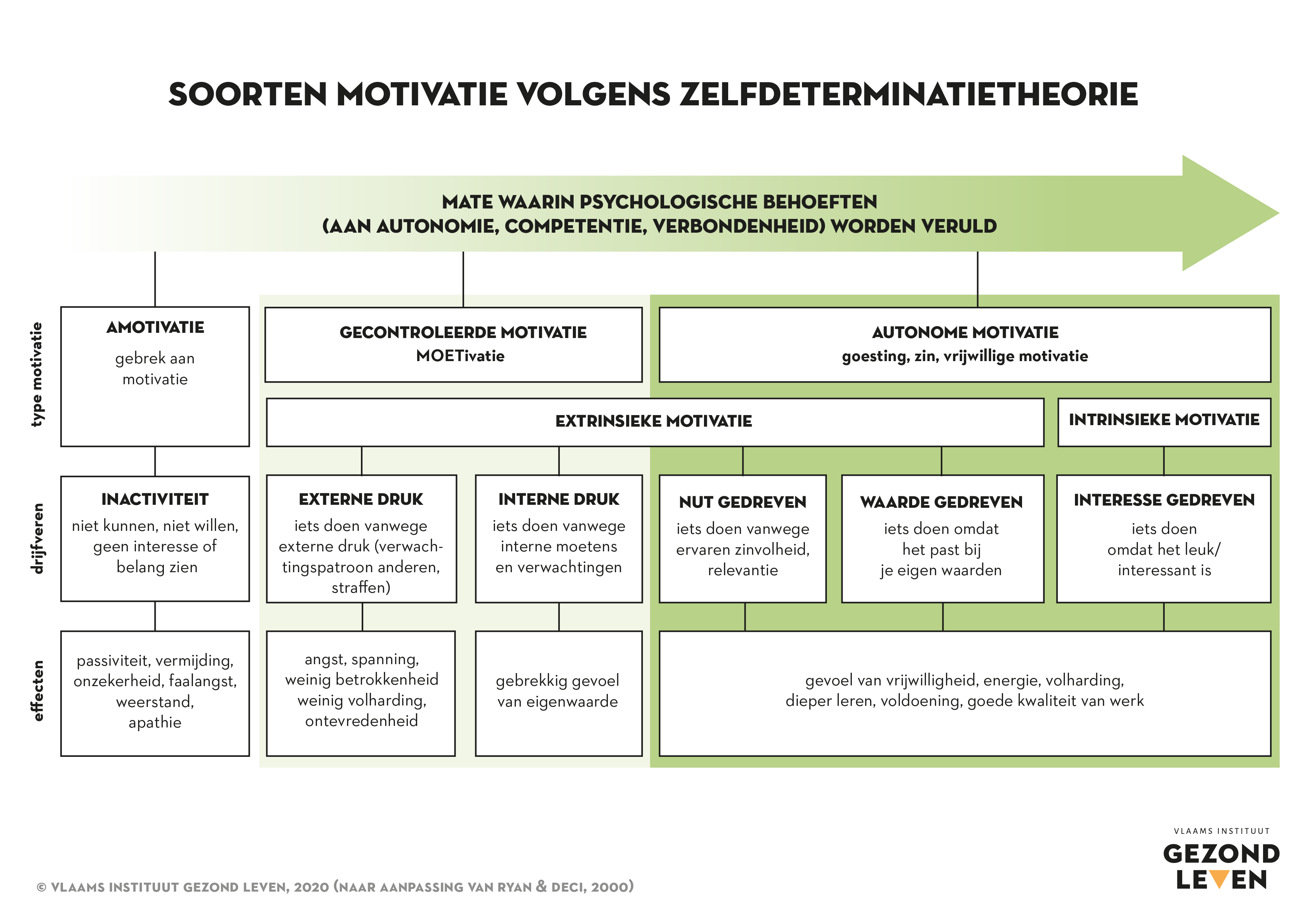 Soorten Motivatie Volgens Zelfdeterminatietheorie