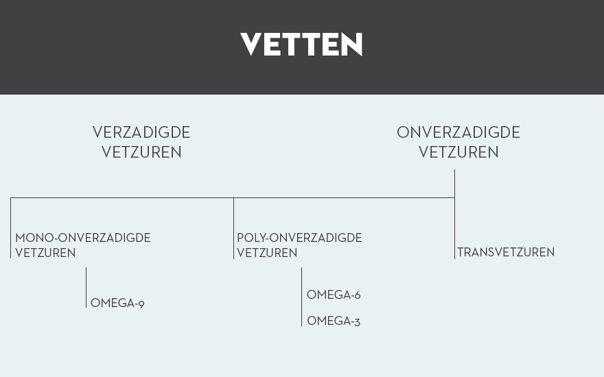 Soorten Vetten