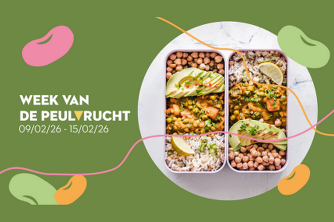 Wvd P 2026 webartikel