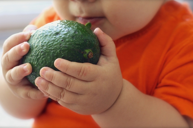 Avocado 1476493 1280